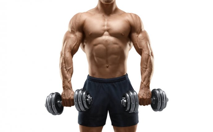 Build Muscle Fast | Build Muscle Quickly | GymJunkies