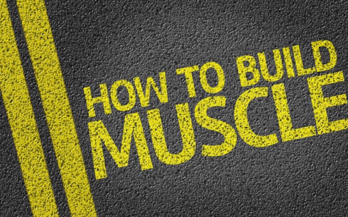 WatchFit - Should you lose fat first before building muscle?