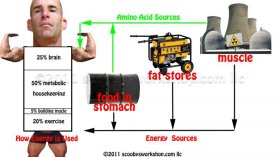 Energy Life Cycle